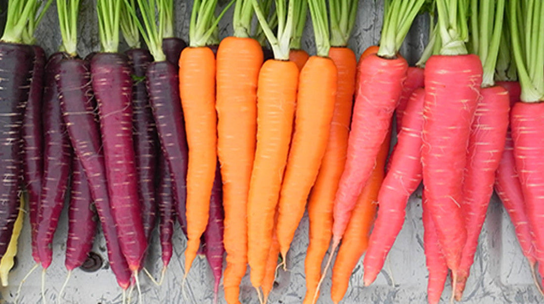 A TO Z OF ALKALISING GREENS