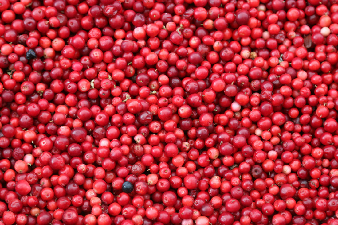 Ingredient spotlight: 4 fun facts about WelleCo’s cranberry