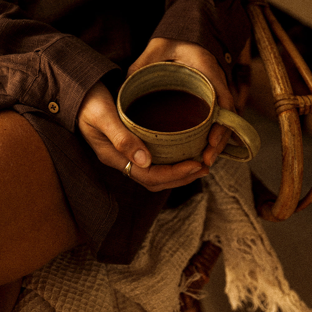 Fitaz Transform Bundle