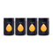 4 x Passionfruit