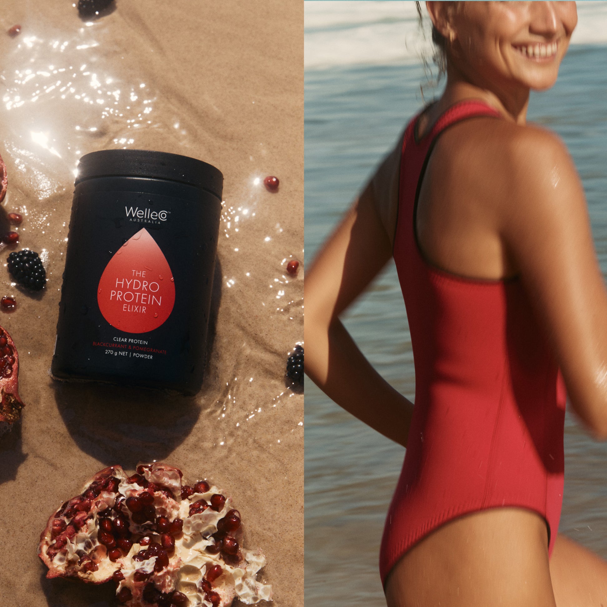 The HydroProtein Collection
