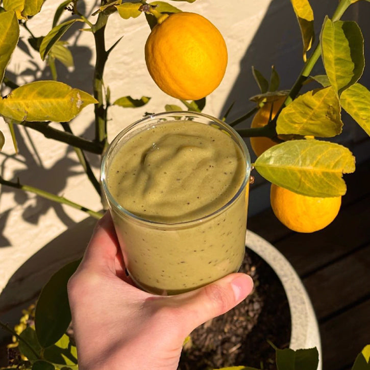 The Immune Booster