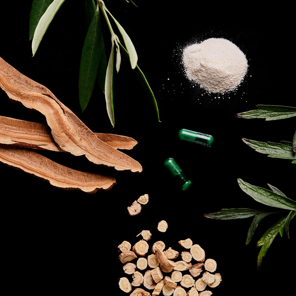 The Immune Booster